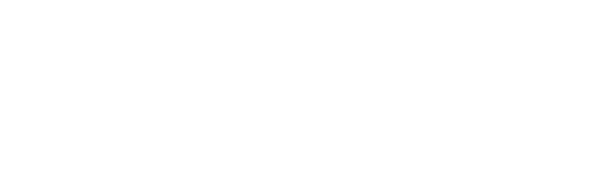 Light Logo